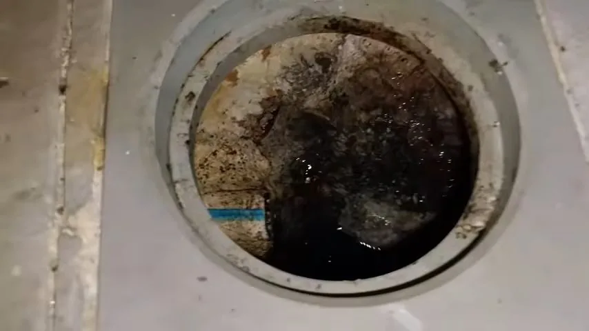 Round ground box set in a concrete slab with dark soil and water visible around a buried valve